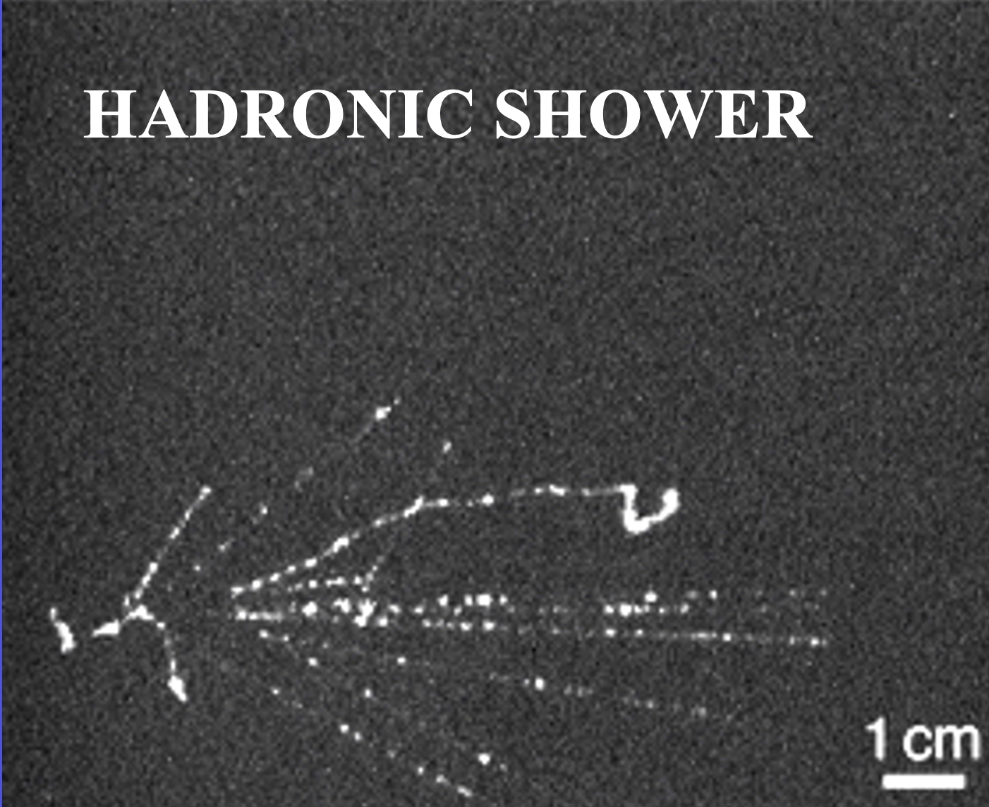 HADRONIC SHOWE